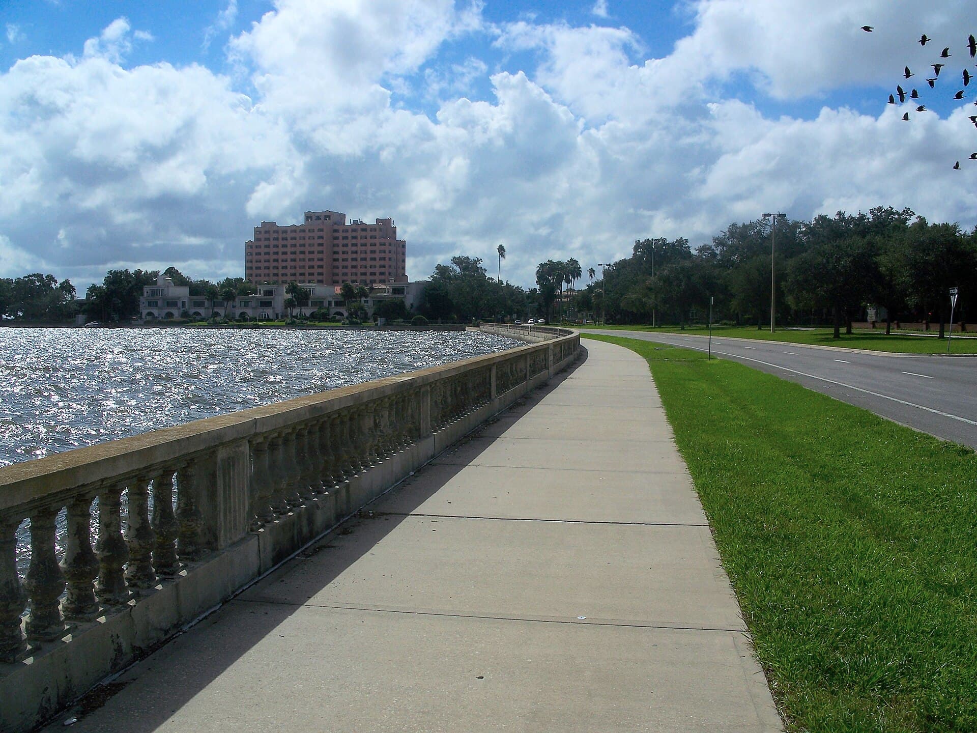 First Tampa Bay Dengue Death in Nearly a Century Confirmed Near Bayshore Boulevard